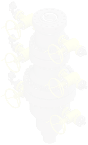 NS Surface Wellhead Reveal